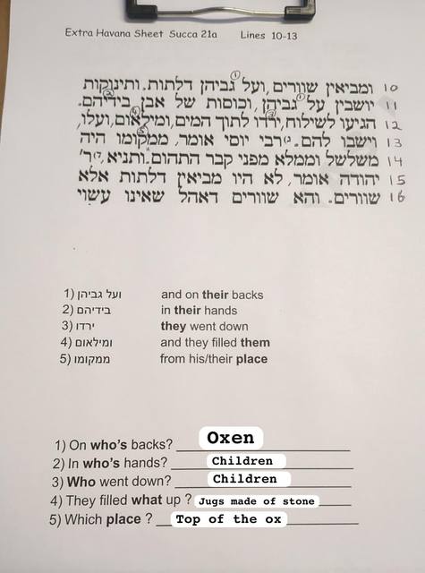 Extra Havana Sheet – Sukkah 21a, lines 10–13 (answers)