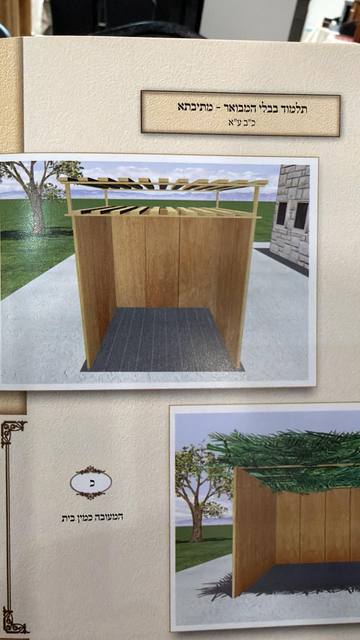 Illustrated Gemara: Sukkah 22a – s’chach thick “like a house” (המעובה כמין בית)