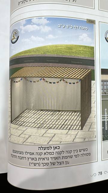 Illustrated sefer: Sukkah 22b – thick s’chach