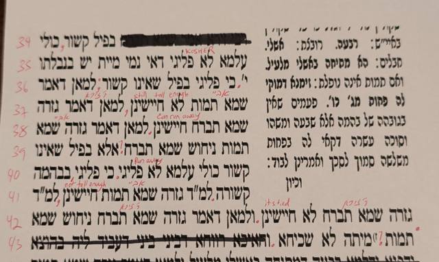 Marked-up Gemara: an animal as a wall (lines 34–43)