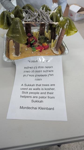 Sukkah fair model: a sukkah between the trees, using trees as walls