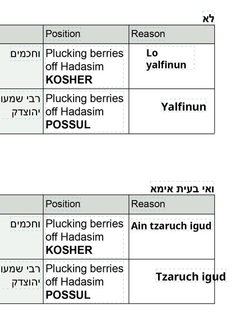 Leima K’tanai – Hadas and Lulav: worksheet chart (filled in by a member)